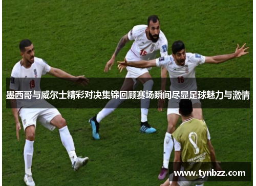 墨西哥与威尔士精彩对决集锦回顾赛场瞬间尽显足球魅力与激情