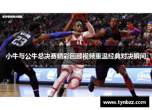 小牛与公牛总决赛精彩回顾视频重温经典对决瞬间